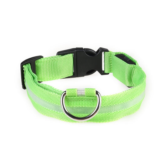 Green dog collar with reflective strip and black buckle on a white background