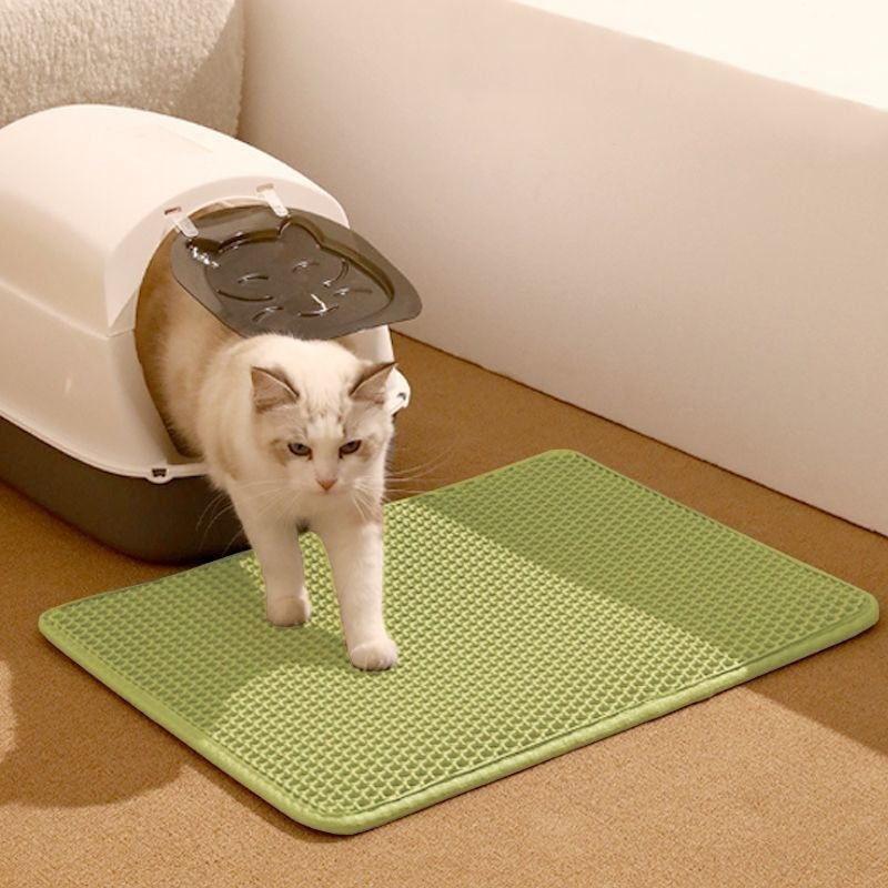 Cat stepping out of a litter box onto a green mat on a carpeted floor.