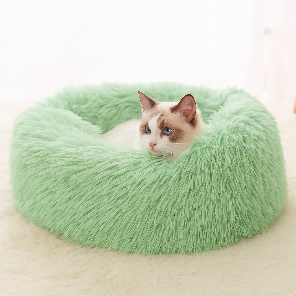 Cat lying on a green fluffy pet bed with a white background