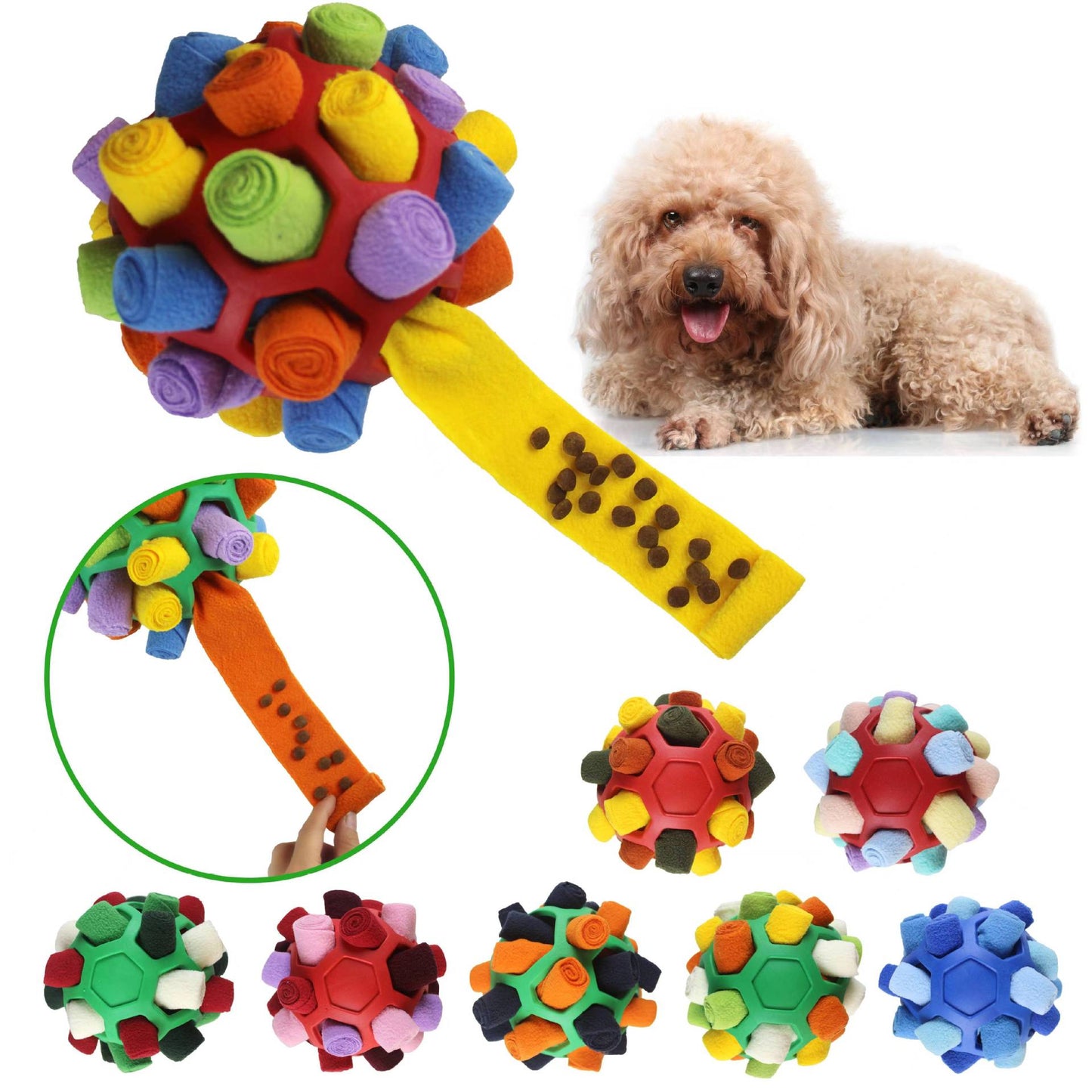 Colorful dog toy with a dog sitting next to it on a white background