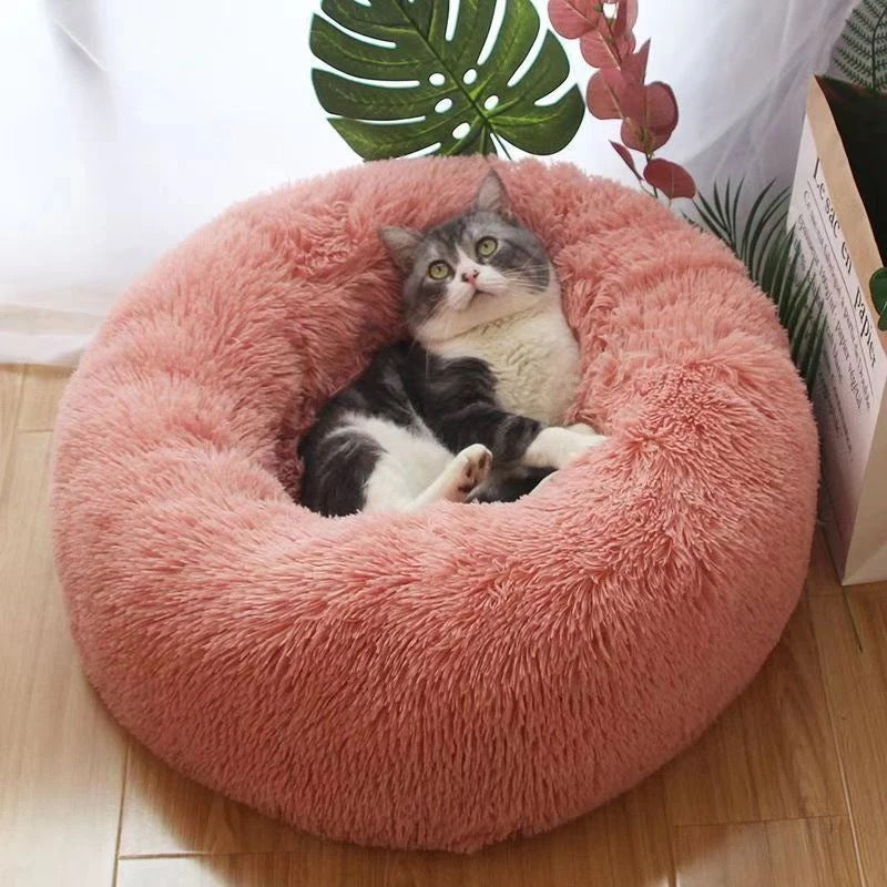 Cat lying on a pink donut-shaped pet bed with plants in the background